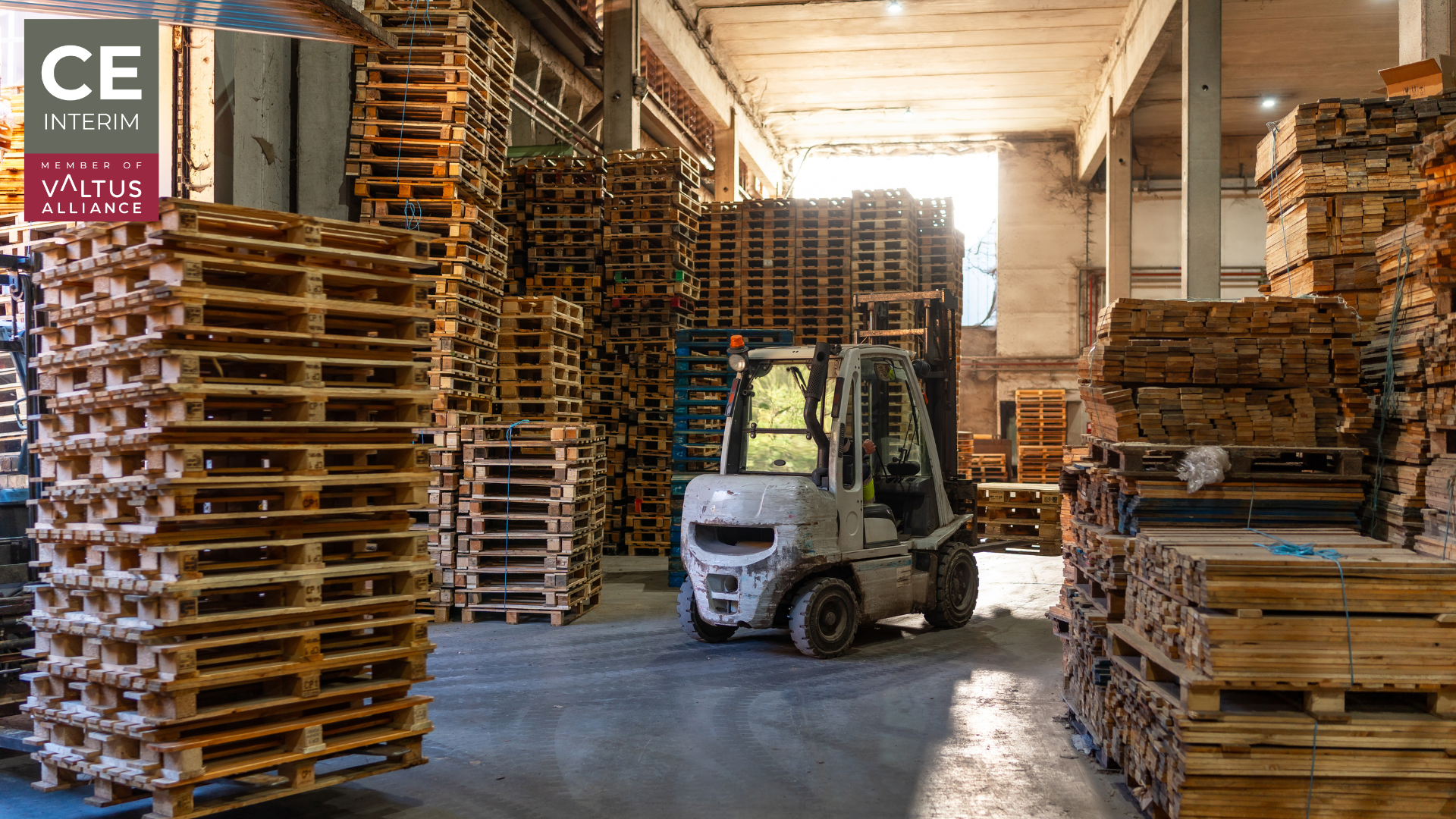 Failed ERP implementation recovery: stalled forklifts and stranded pallets at a Czech manufacturing plant dispatch dock