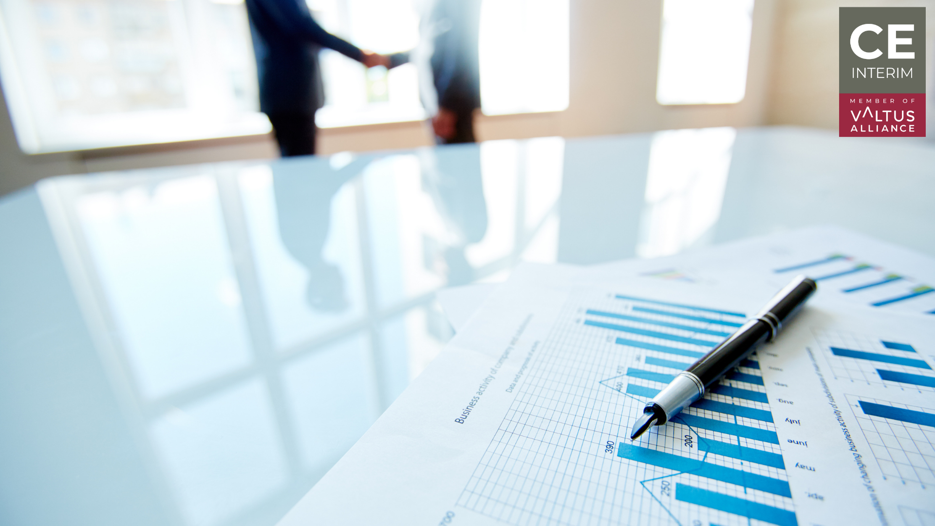 Financial report in a Romanian Manufacturing plant